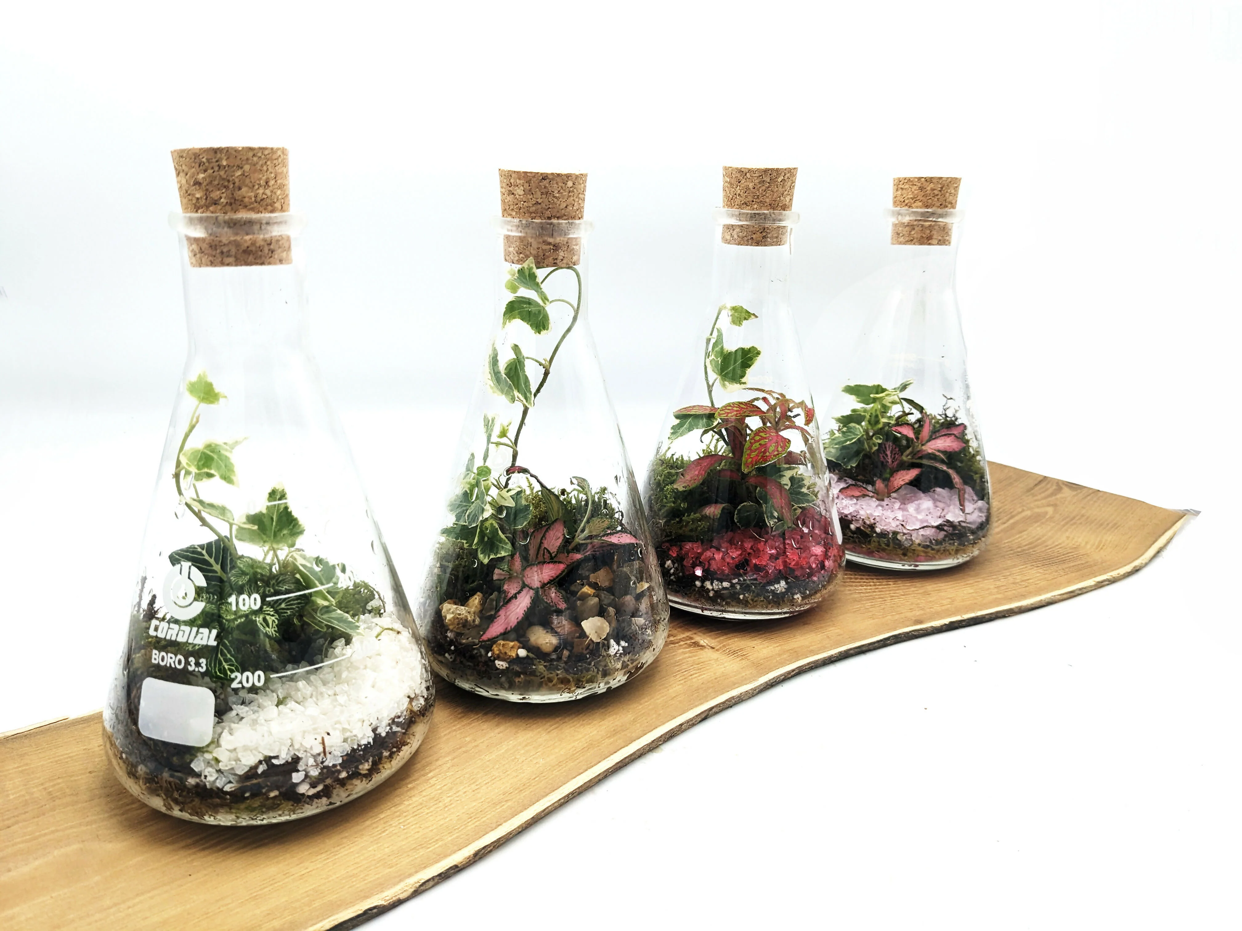 500ml Light Up Conical Flask Terrarium - Image 3