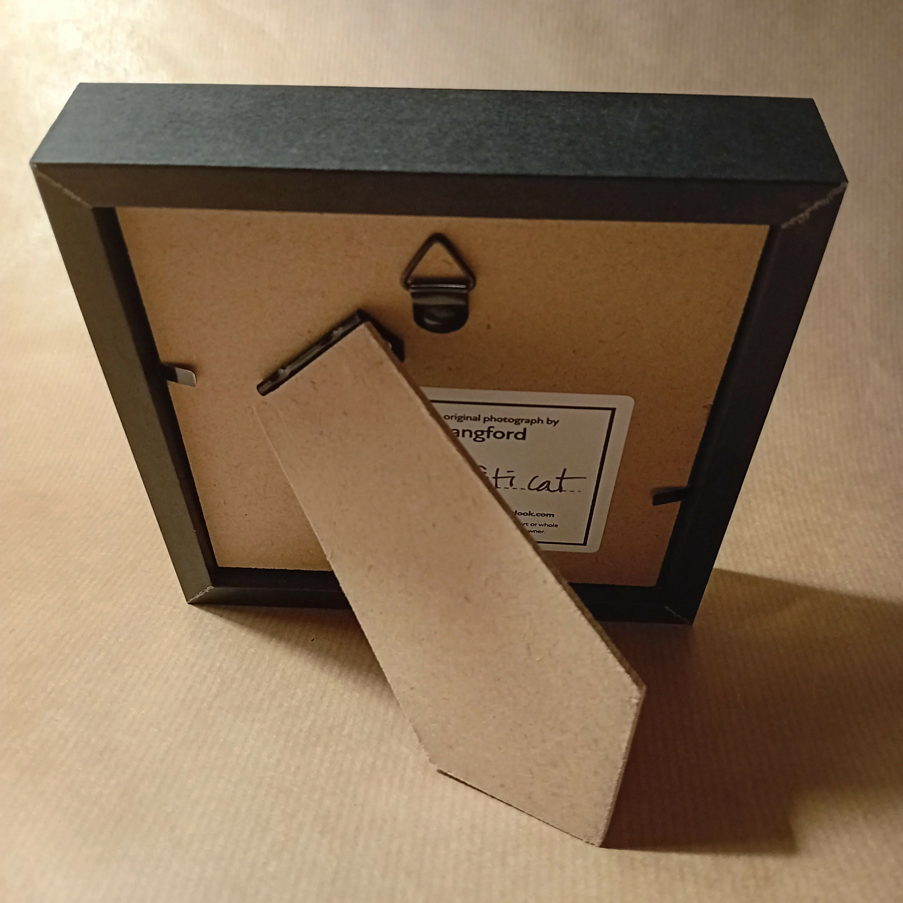 Blue Cat Mini Frame - Image 3