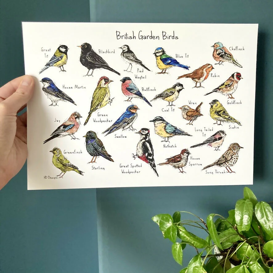British Garden Birds Art Print - Image 3