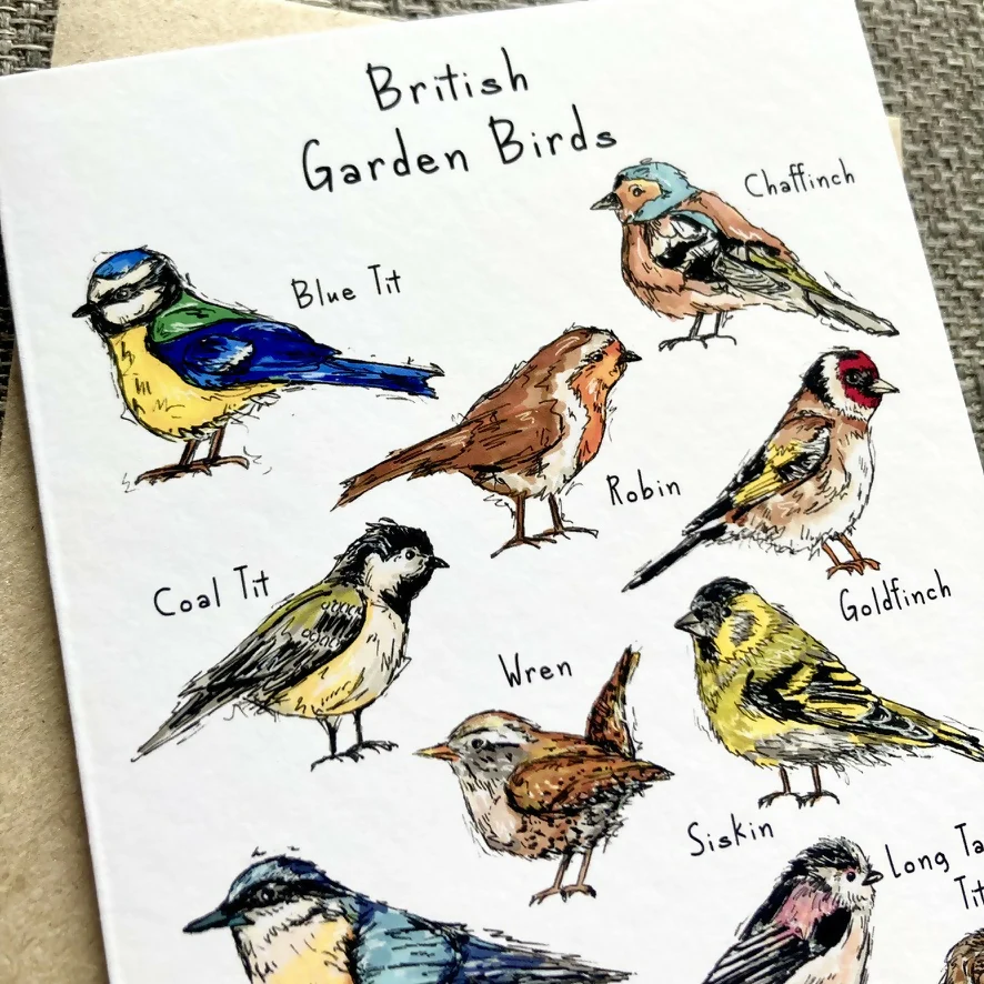 British Garden Birds Greetings Card - Image 3