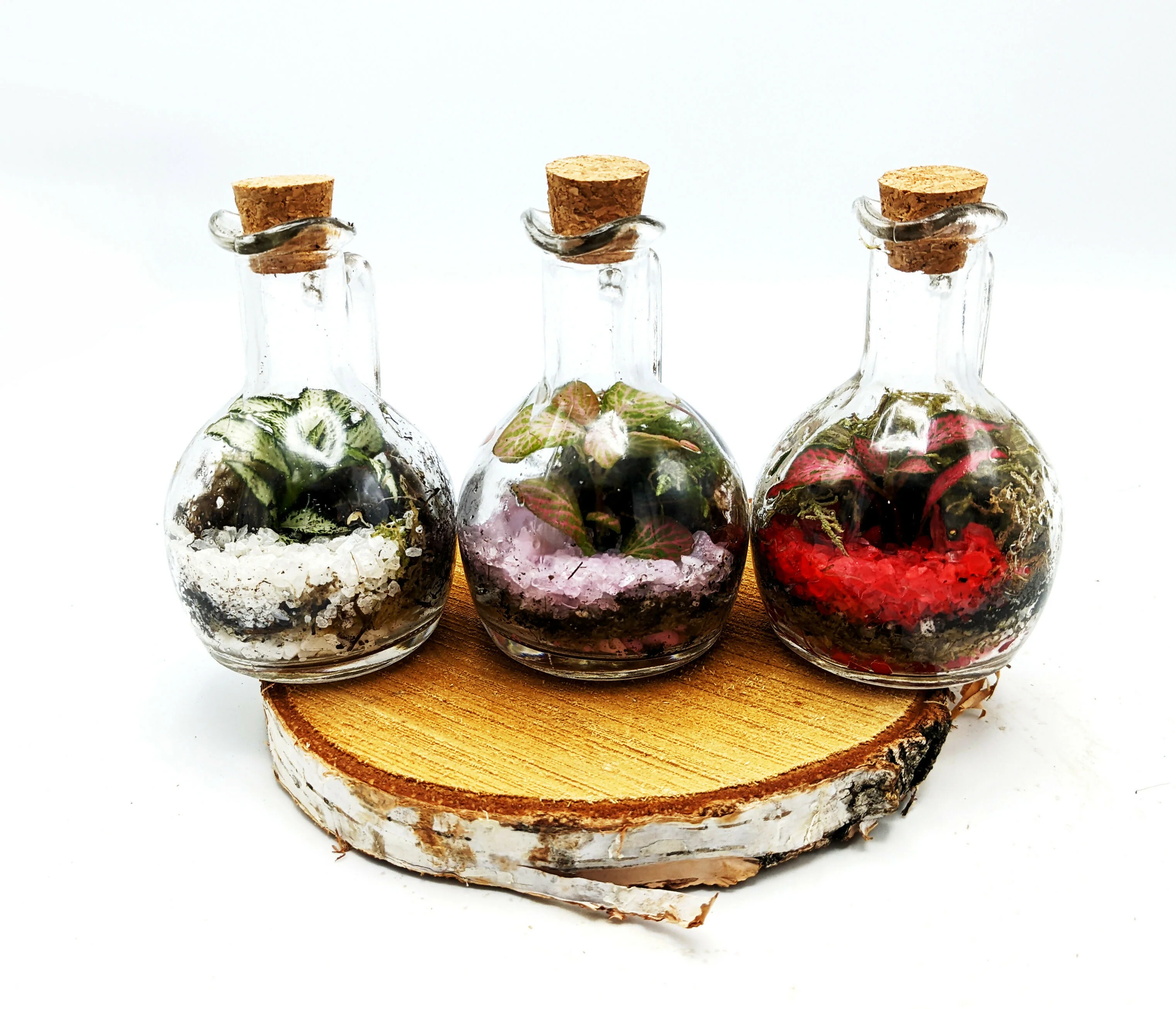 Mini Oil Pourer Bottle - Image 3