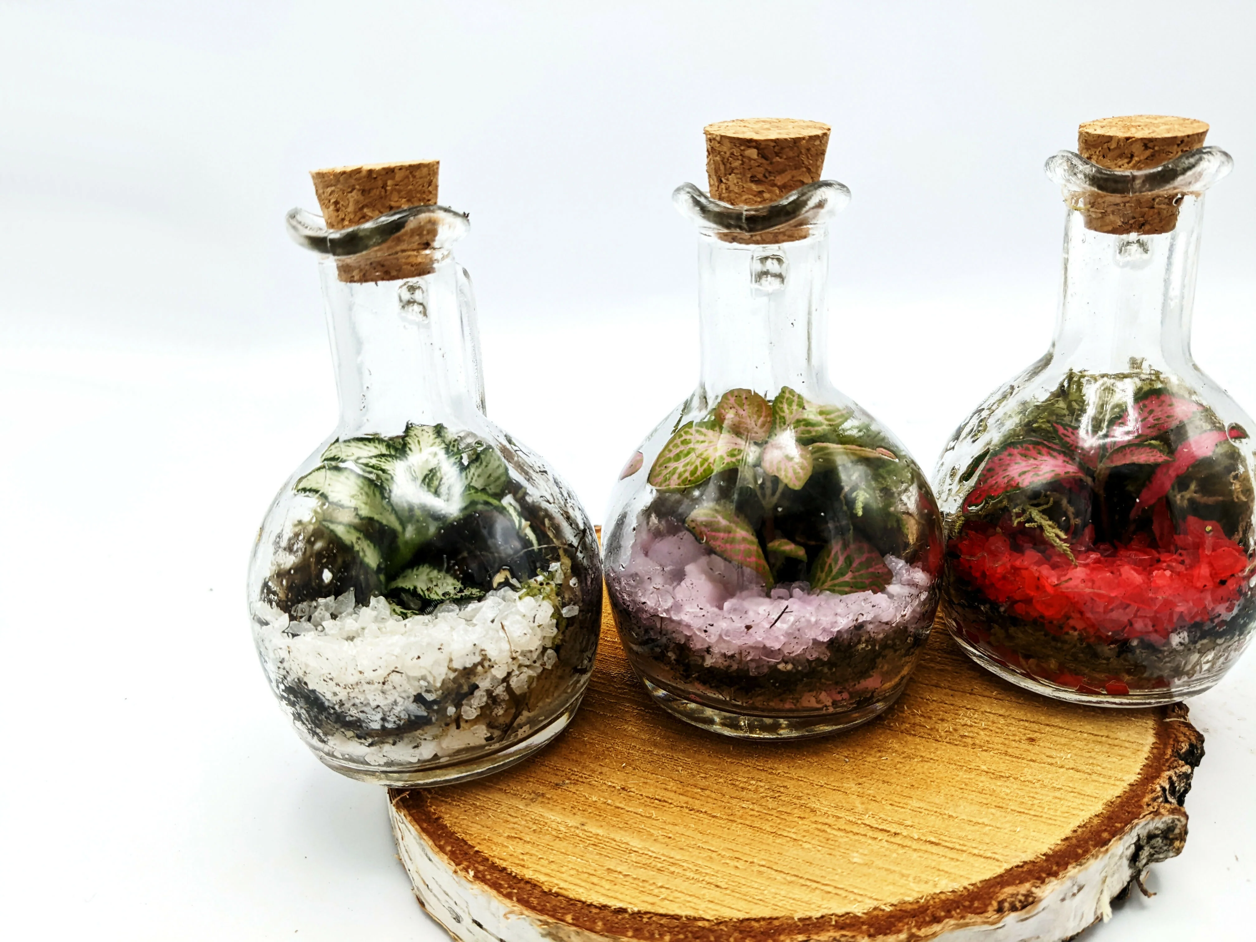 Mini Oil Pourer Bottle - Image 4