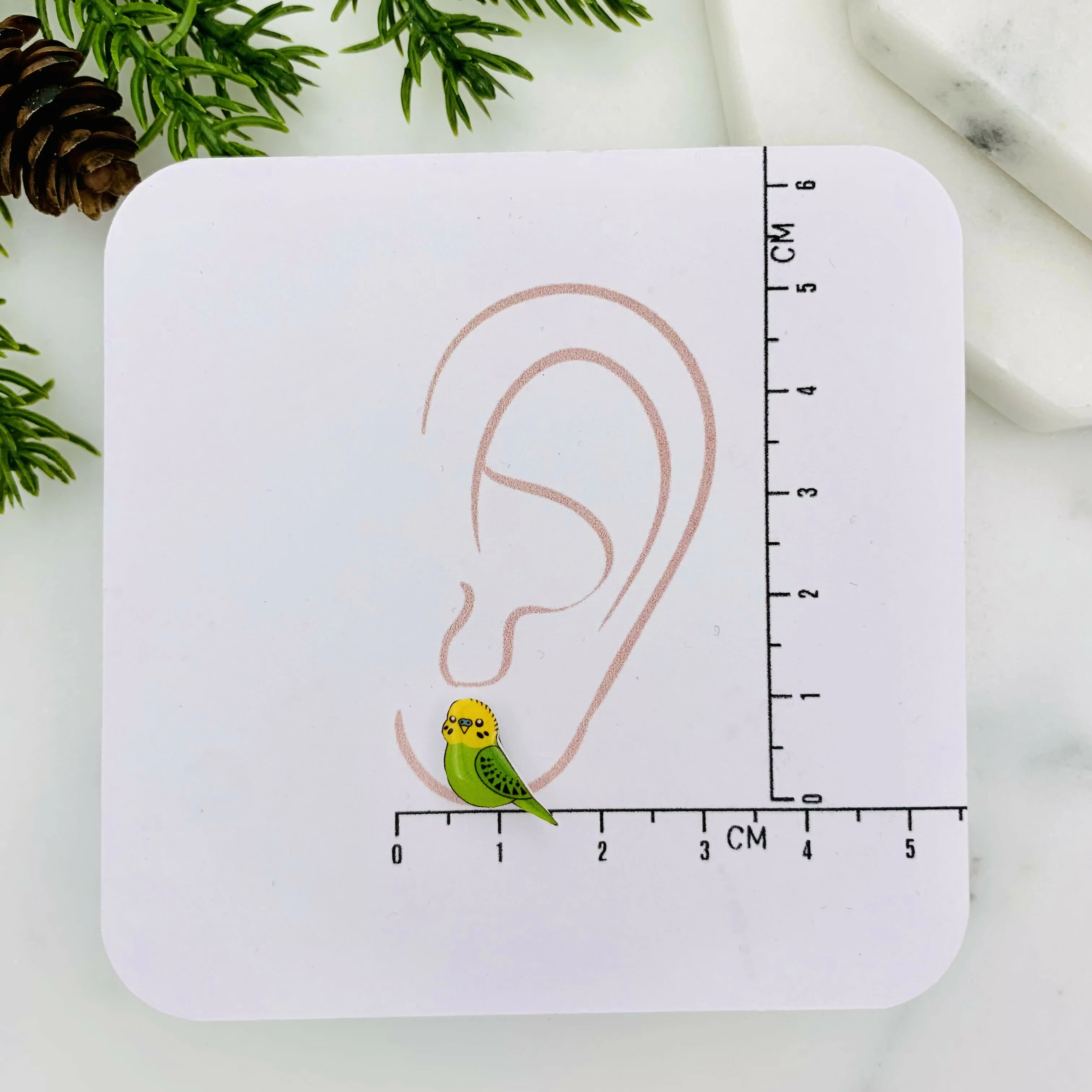 Mismatched Budgie Bird Stud Earrings - Image 3