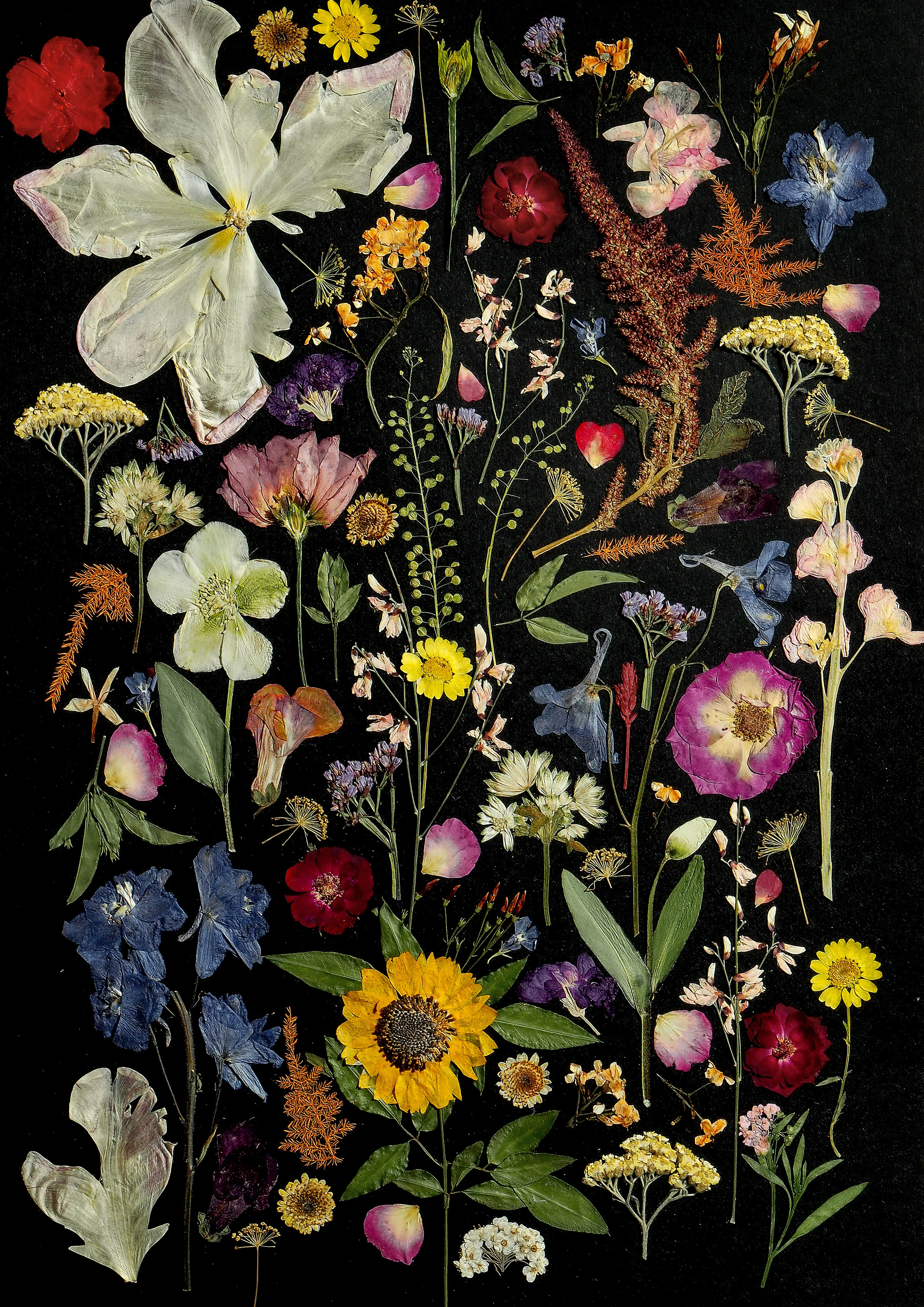 Pressed Flower Tea Towel - Image 6