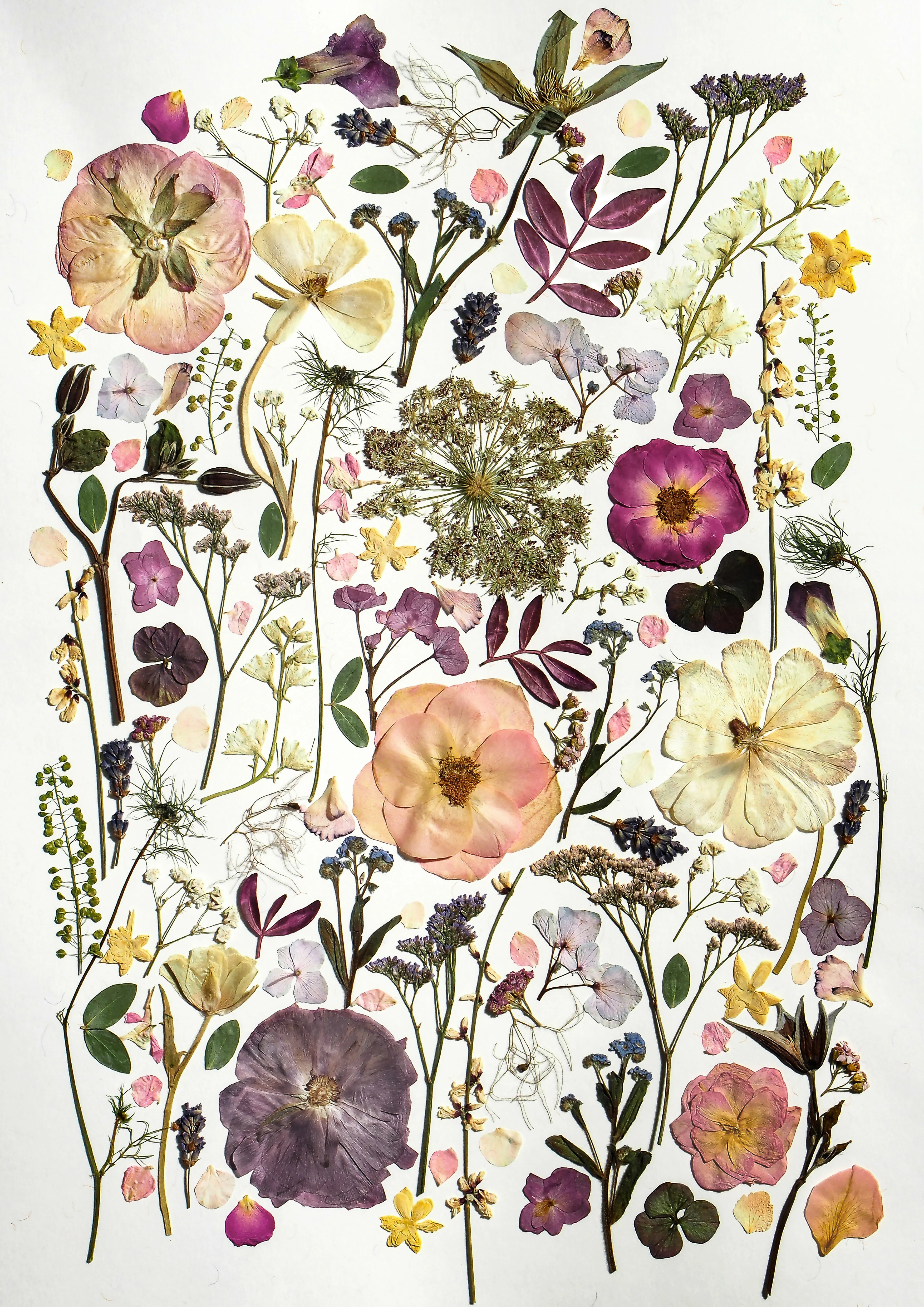 Pressed Flower Tea Towel - Image 9