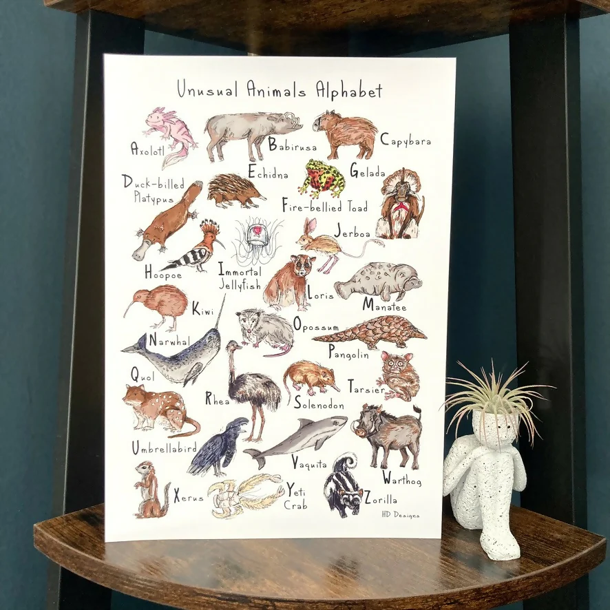 Unusual Animals Alphabet Art Print - Image 3